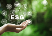 The Synergy Between ESG and WHS Consultants: Building a Sustainable and Safe Future for Australian Businesses