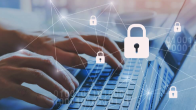 Safeguarding Information: A Closer Look at Data Leakage Prevention Tools