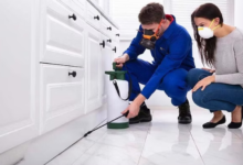 Why Ottawa Residents Are Switching to Recurring House Cleaning and Pest Control Services