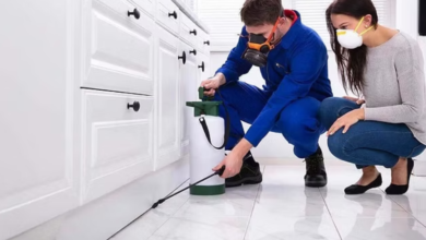 Why Ottawa Residents Are Switching to Recurring House Cleaning and Pest Control Services