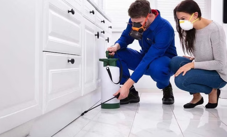 Why Ottawa Residents Are Switching to Recurring House Cleaning and Pest Control Services
