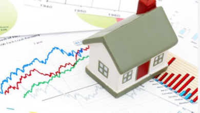 Property Reports Online: How to Access Accurate Real Estate Insights