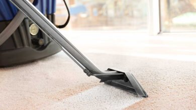 Clean Your Carpets