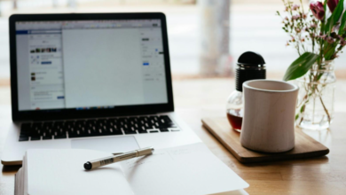 Thinking of Becoming a Content Creator? Read This First!