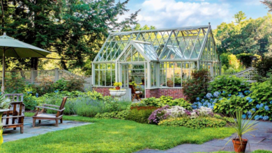 The Art of Living Green: Unveiling the Elegance of a Luxury Greenhouse