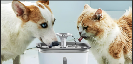 cat and dog sharing water from a single fountain