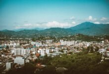 filmywap 2024 overview insights