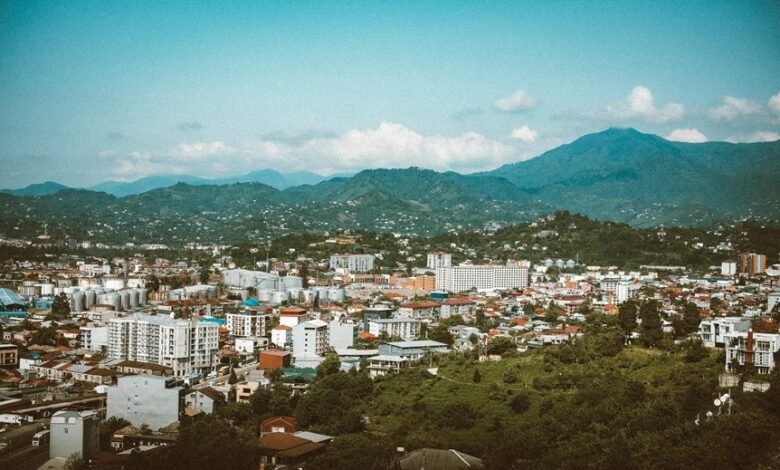 filmywap 2024 overview insights