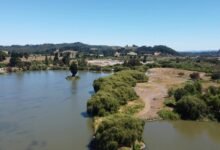 movie download platform overview