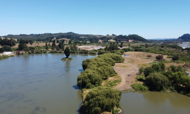 movie download platform overview