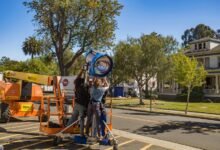 movie download site guide