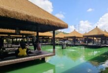 msrit parents portal guide