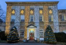 telugu movie download platform