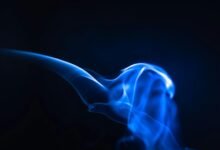 neural beam apex flow