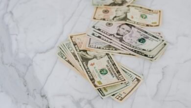 radiant profit flow orbit