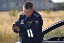 digital content safety report names