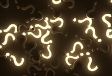 multilingual query pattern report