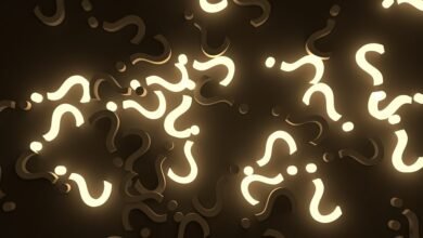 search intent and ambiguity summary