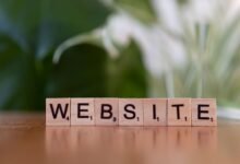 web content classification and intent