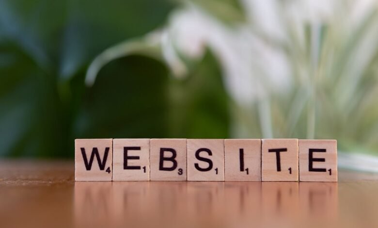 web content classification and intent