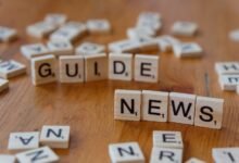 web content noise report identifiers